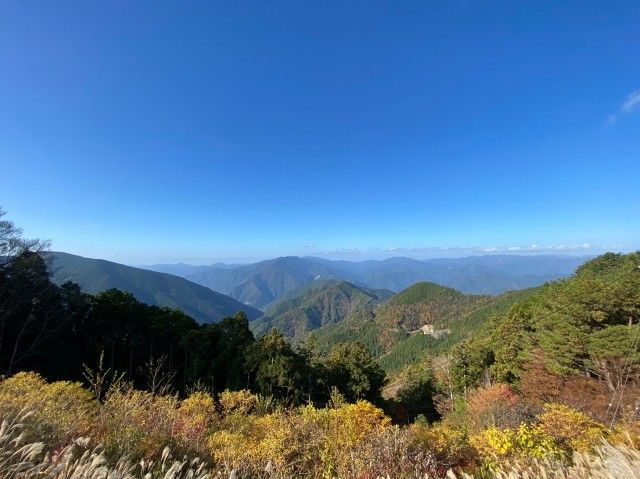 f:id:adagio-nijiiro:20201209172553j:image f:id:adagio-nijiiro:20201209172553j:image