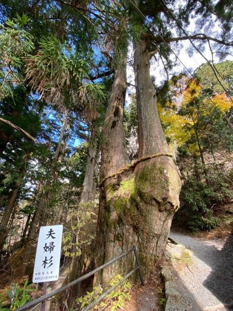 f:id:adagio-nijiiro:20201216001739j:image f:id:adagio-nijiiro:20201216001739j:image
