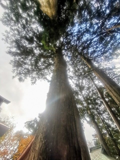 f:id:adagio-nijiiro:20201216001911j:image f:id:adagio-nijiiro:20201216001911j:image
