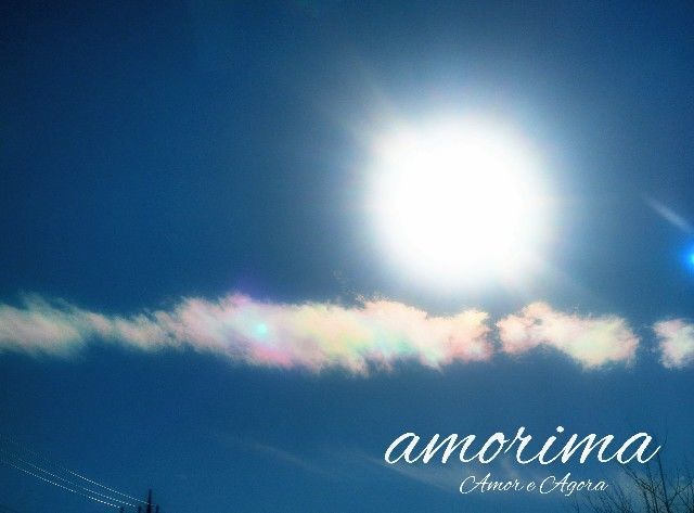 f:id:adagio-nijiiro:20210102003703j:image f:id:adagio-nijiiro:20210102003703j:image