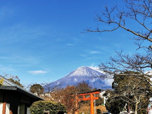 f:id:adagio-nijiiro:20210104202046j:image