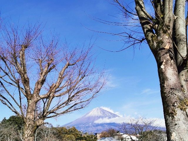 f:id:adagio-nijiiro:20210104202109j:image