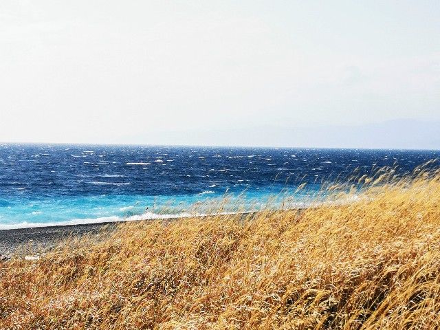 f:id:adagio-nijiiro:20210122005452j:image