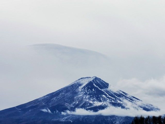 f:id:adagio-nijiiro:20210122014111j:image