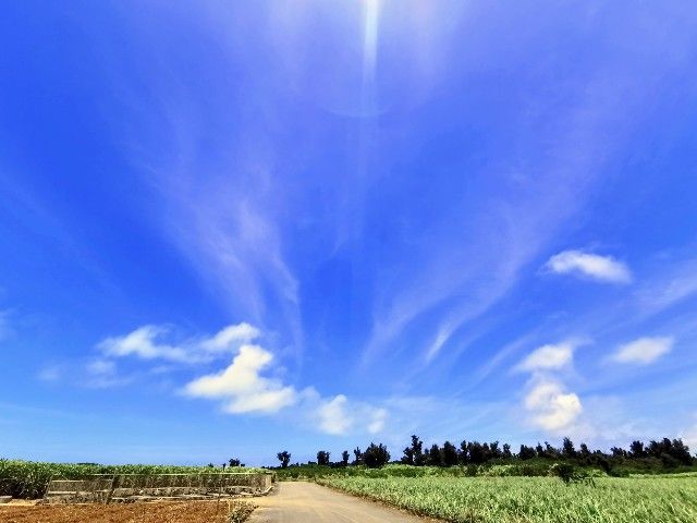 f:id:adagio-nijiiro:20210530153323j:image f:id:adagio-nijiiro:20210530153323j:image