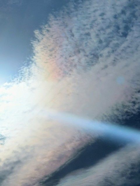 f:id:adagio-nijiiro:20210621235701j:image