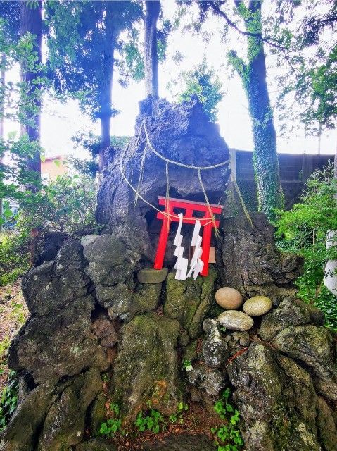f:id:adagio-nijiiro:20210730024355j:image f:id:adagio-nijiiro:20210730024355j:image