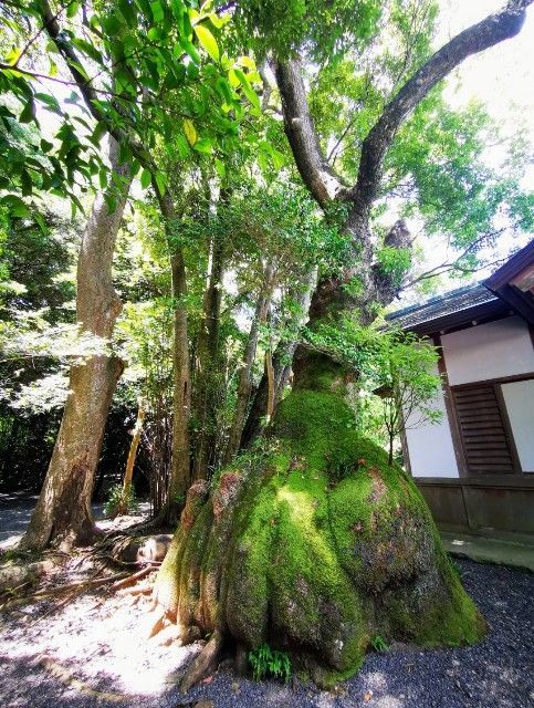 f:id:adagio-nijiiro:20210801220548j:image