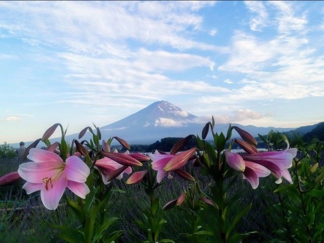 f:id:adagio-nijiiro:20210802201741j:image