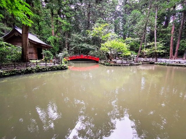 f:id:adagio-nijiiro:20210910004643j:image f:id:adagio-nijiiro:20210910004643j:image