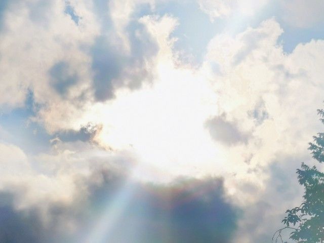 f:id:adagio-nijiiro:20210910010708j:image f:id:adagio-nijiiro:20210910010708j:image