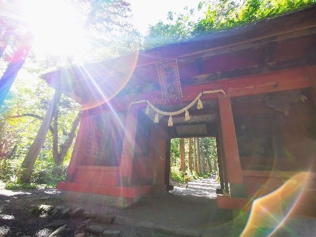 f:id:adagio-nijiiro:20211006232307j:image