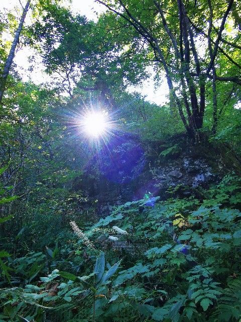 f:id:adagio-nijiiro:20211006233939j:image