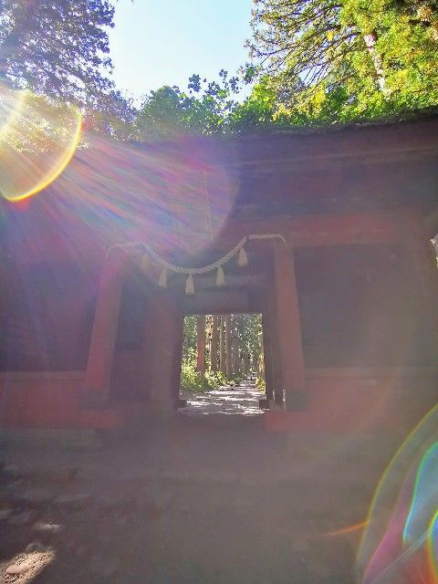 f:id:adagio-nijiiro:20211007120251j:image