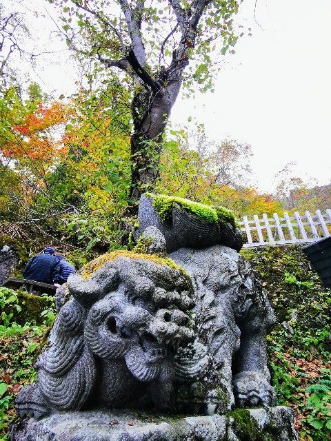 f:id:adagio-nijiiro:20211105011445j:image