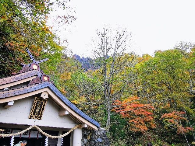 f:id:adagio-nijiiro:20211105011521j:image