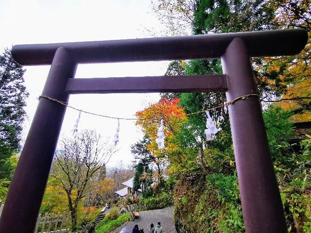 f:id:adagio-nijiiro:20211105011847j:image