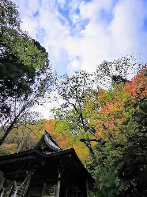 f:id:adagio-nijiiro:20211105013247j:image