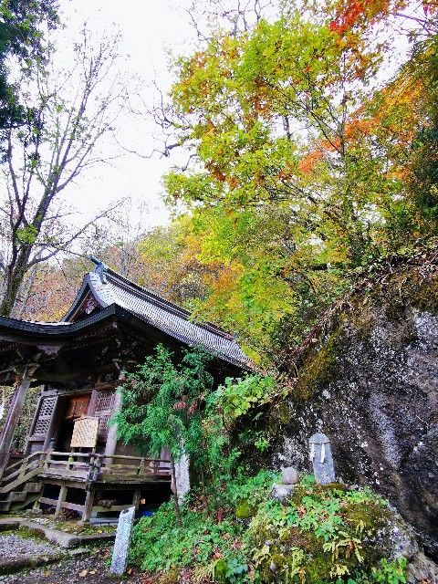f:id:adagio-nijiiro:20211105013308j:image