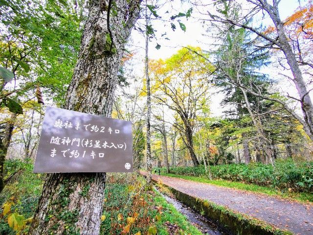 f:id:adagio-nijiiro:20211105093033j:image