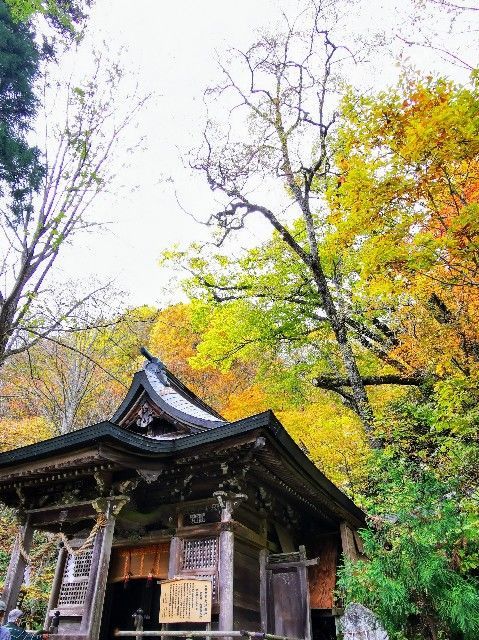 f:id:adagio-nijiiro:20211105100549j:image
