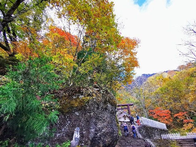 f:id:adagio-nijiiro:20211105100609j:image
