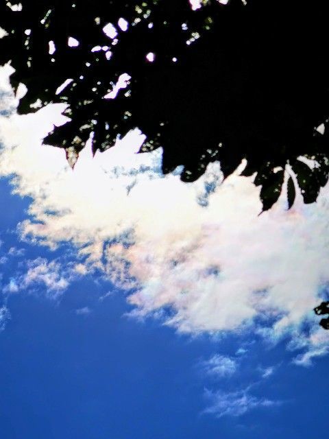 f:id:adagio-nijiiro:20211111090919j:image