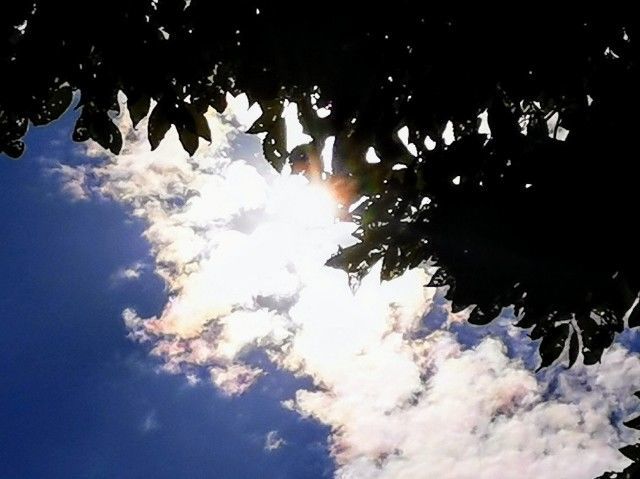f:id:adagio-nijiiro:20211111090935j:image