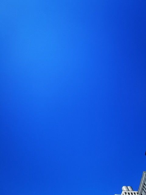 f:id:adagio-nijiiro:20211112194546j:image f:id:adagio-nijiiro:20211112194546j:image