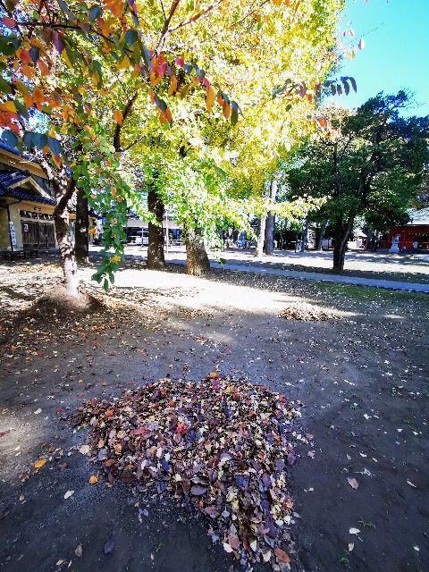 f:id:adagio-nijiiro:20211112204033j:image f:id:adagio-nijiiro:20211112204033j:image