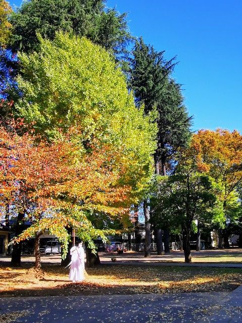 f:id:adagio-nijiiro:20211112204246j:image f:id:adagio-nijiiro:20211112204246j:image