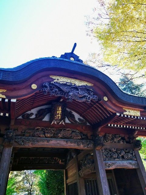 f:id:adagio-nijiiro:20211112205203j:image f:id:adagio-nijiiro:20211112205203j:image