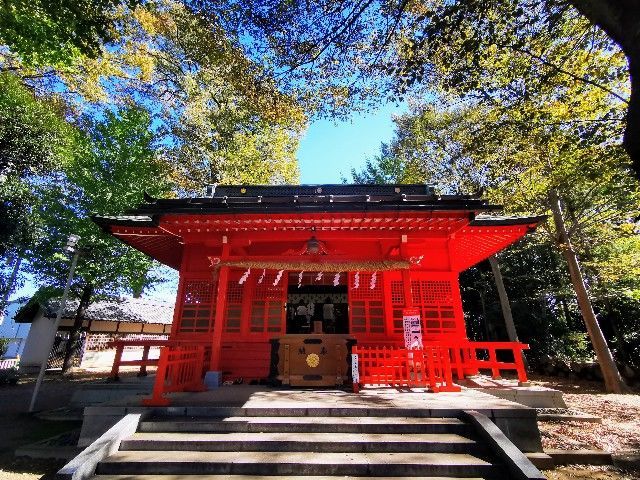 f:id:adagio-nijiiro:20211112210325j:image f:id:adagio-nijiiro:20211112210325j:image