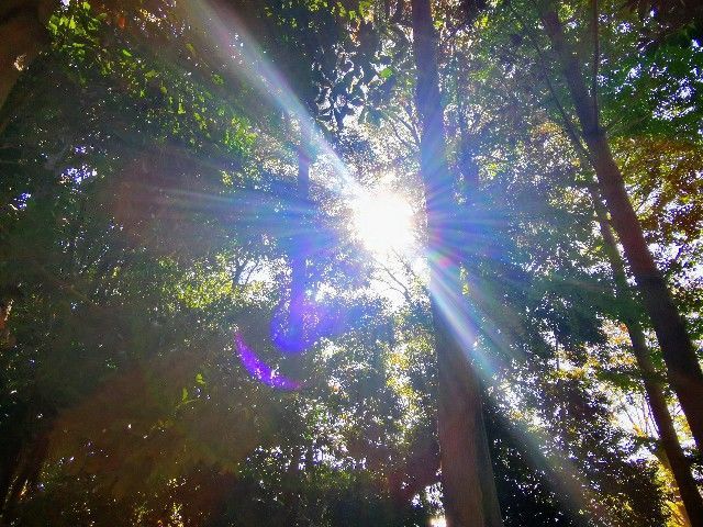 f:id:adagio-nijiiro:20211112210755j:image f:id:adagio-nijiiro:20211112210755j:image