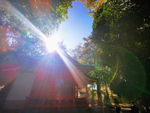 f:id:adagio-nijiiro:20211112211237j:image f:id:adagio-nijiiro:20211112211237j:image
