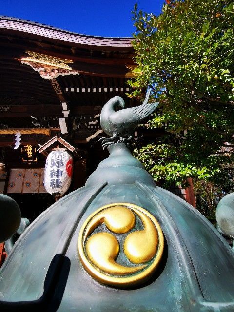 f:id:adagio-nijiiro:20211112215612j:image f:id:adagio-nijiiro:20211112215612j:image