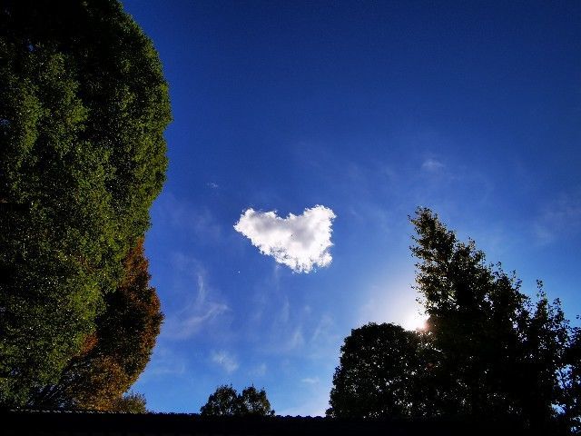 f:id:adagio-nijiiro:20211112221049j:image f:id:adagio-nijiiro:20211112221049j:image