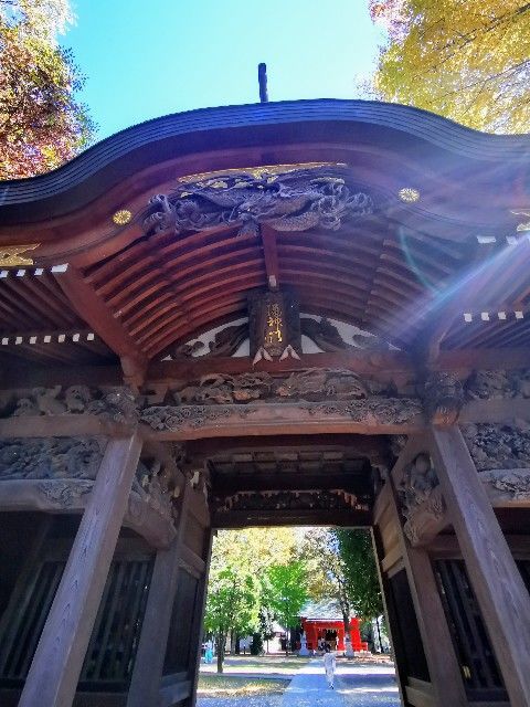 f:id:adagio-nijiiro:20211112222541j:image f:id:adagio-nijiiro:20211112222541j:image