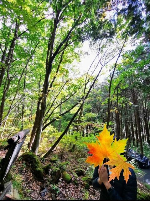f:id:adagio-nijiiro:20211114211908j:image
