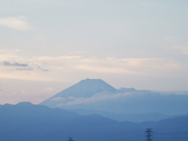 f:id:adagio-nijiiro:20211119014239j:image f:id:adagio-nijiiro:20211119014239j:image