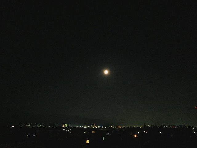 f:id:adagio-nijiiro:20211119015526j:image f:id:adagio-nijiiro:20211119015526j:image