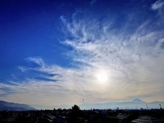 f:id:adagio-nijiiro:20211119235853j:image f:id:adagio-nijiiro:20211119235853j:image
