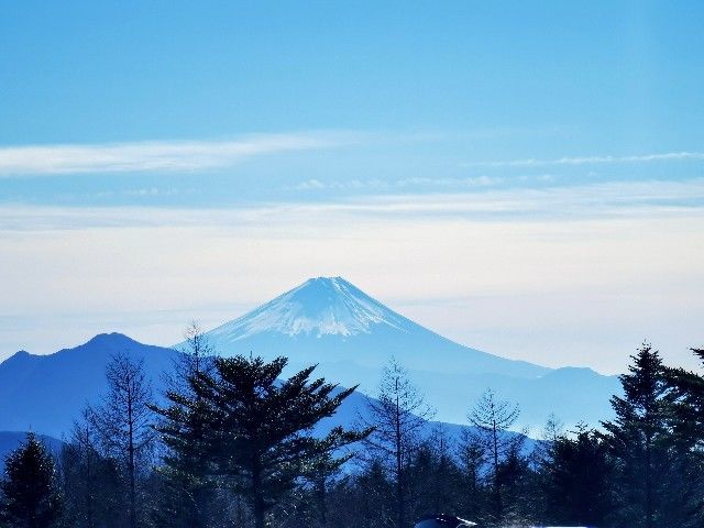 f:id:adagio-nijiiro:20220109234246j:image