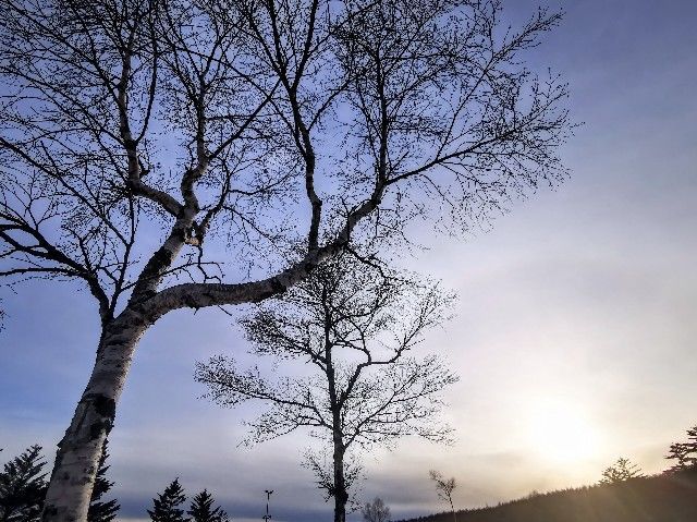 f:id:adagio-nijiiro:20220110002552j:image