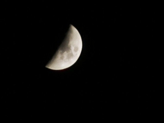 f:id:adagio-nijiiro:20220110003426j:image