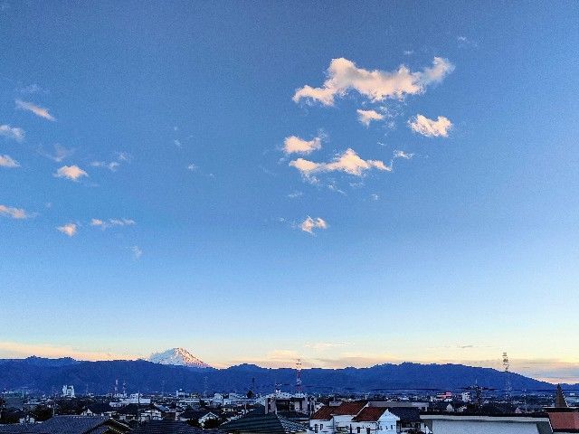 f:id:adagio-nijiiro:20220117232151j:image f:id:adagio-nijiiro:20220117232151j:image
