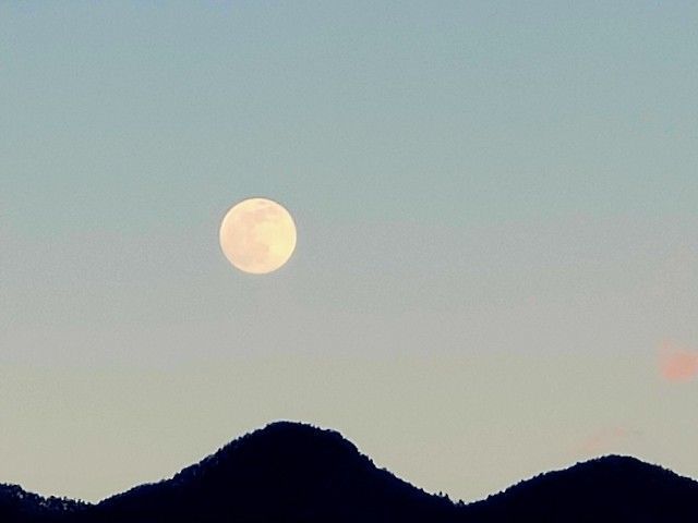 f:id:adagio-nijiiro:20220117232247j:image f:id:adagio-nijiiro:20220117232247j:image