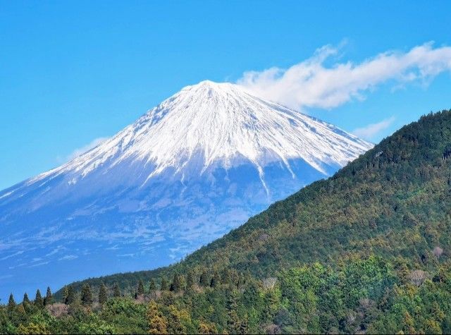 f:id:adagio-nijiiro:20220120171718j:image f:id:adagio-nijiiro:20220120171718j:image