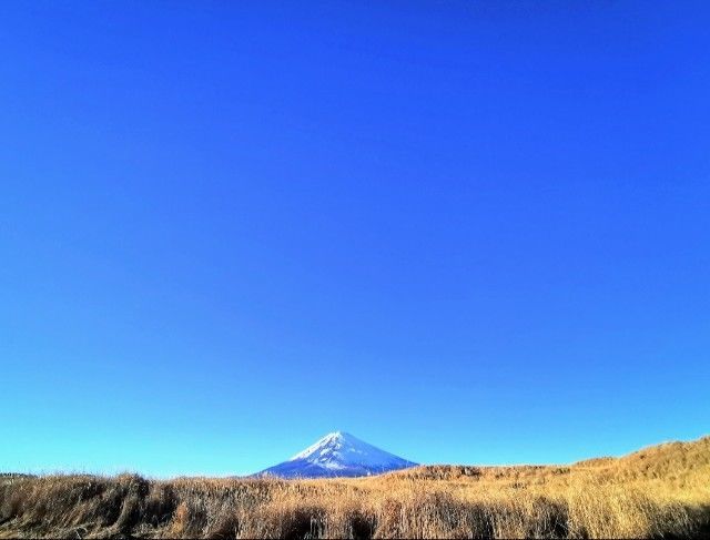 f:id:adagio-nijiiro:20220120172008j:image f:id:adagio-nijiiro:20220120172008j:image