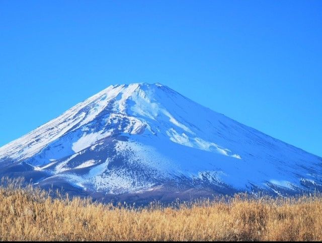f:id:adagio-nijiiro:20220120172029j:image f:id:adagio-nijiiro:20220120172029j:image